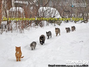 ����: �����������: � ����� ������!