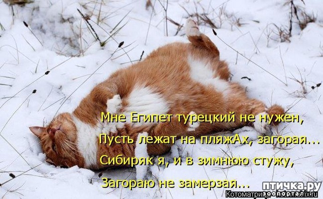 ���� 2: �����������: � ����� ������!