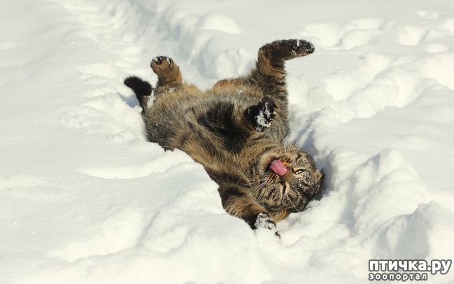 ���� 3: �����������: � ����� ������!