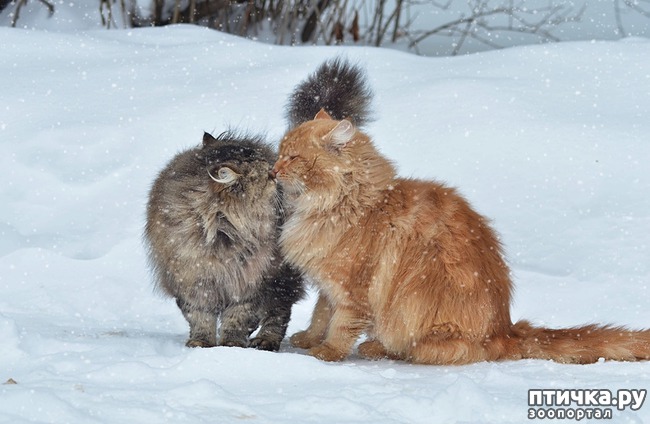 ���� 4: �����������: � ����� ������!