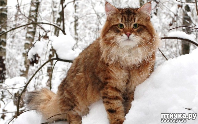 ���� 5: �����������: � ����� ������!