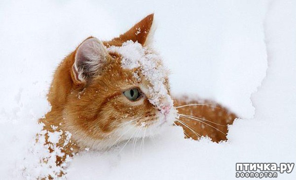 ���� 6: �����������: � ����� ������!