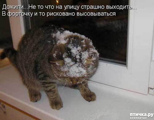 ���� 7: �����������: � ����� ������!