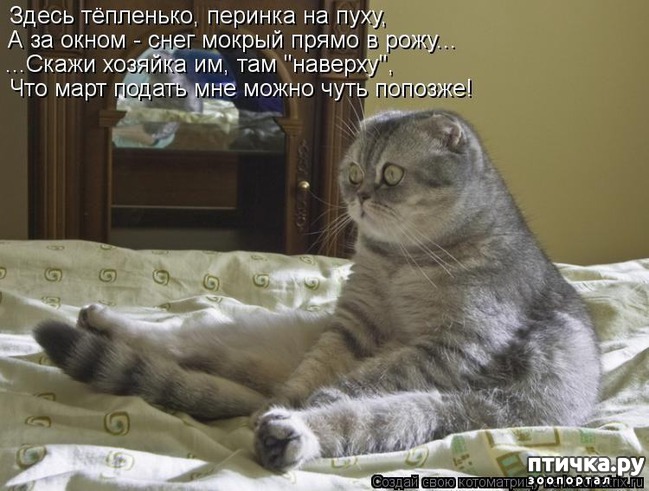 ���� 9: �����������: � ����� ������!