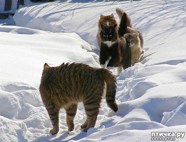 ���� 10: �����������: � ����� ������!