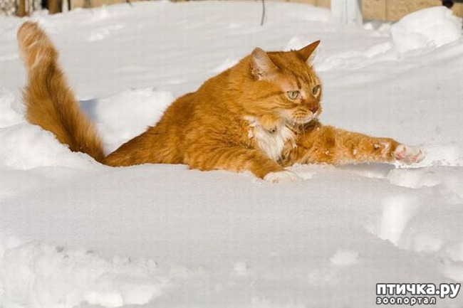 ���� 11: �����������: � ����� ������!