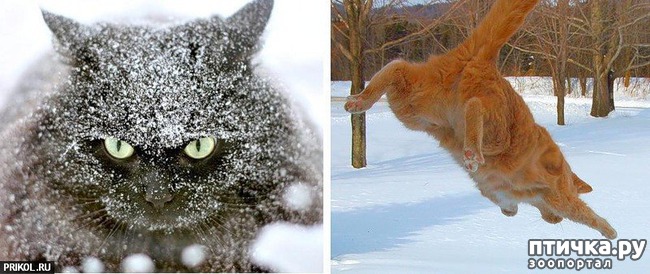 ���� 13: �����������: � ����� ������!