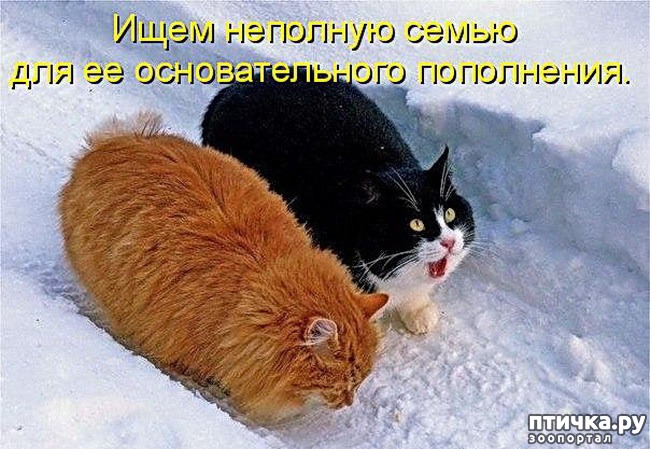 ���� 14: �����������: � ����� ������!