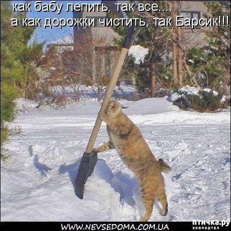 ���� 15: �����������: � ����� ������!