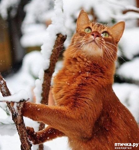 ���� 16: �����������: � ����� ������!