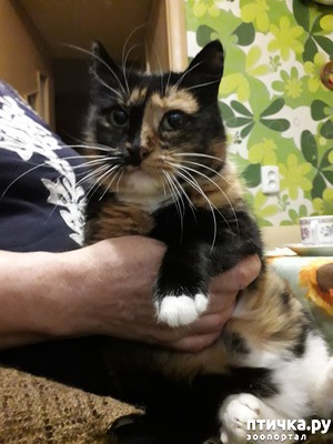 ����: � �������� �� ����