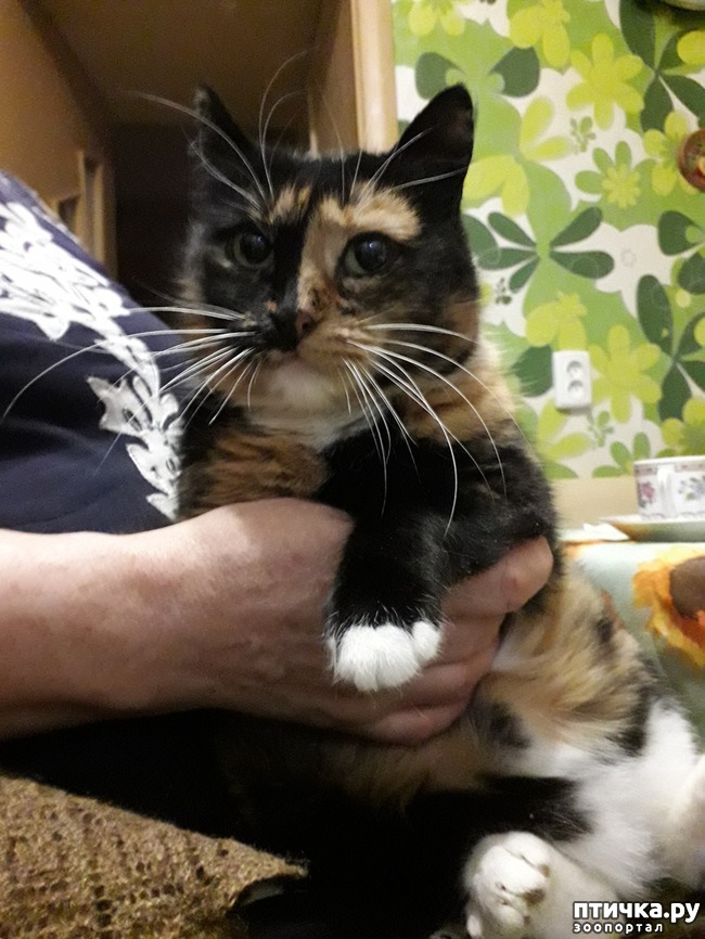 ���� 1: � �������� �� ����