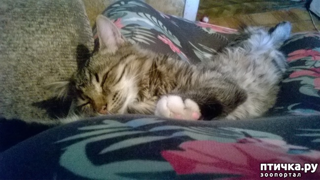 ���� 1: ������������ 