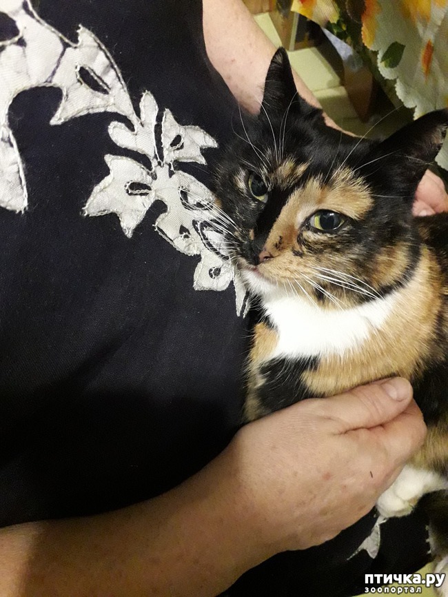 ���� 2: � �������� �� ����