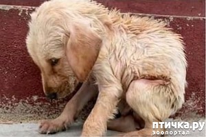 ����: � ���� � ������� ����� ������ �������