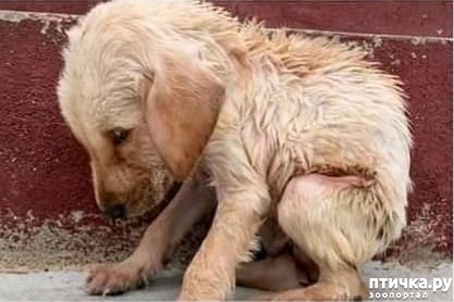 ���� 1: � ���� � ������� ����� ������ �������