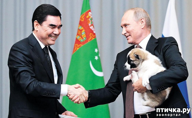 ���� 4: VIP-� �� VIP-��