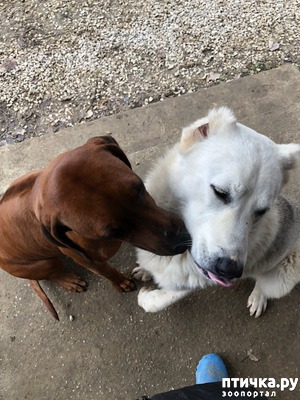 ����: �������� � ����� �������