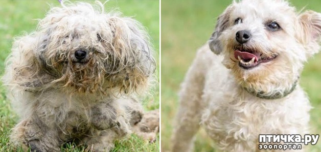 ���� 2: �� ����� � �����.