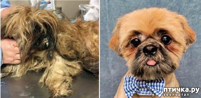 ���� 3: �� ����� � �����.