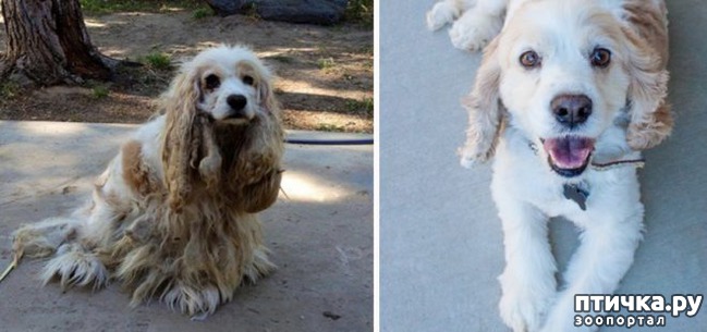 ���� 4: �� ����� � �����.