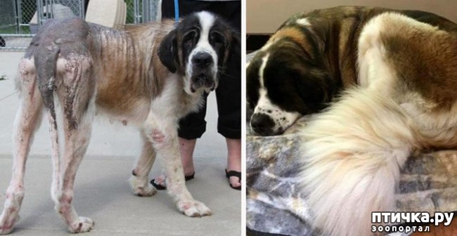 ���� 5: �� ����� � �����.