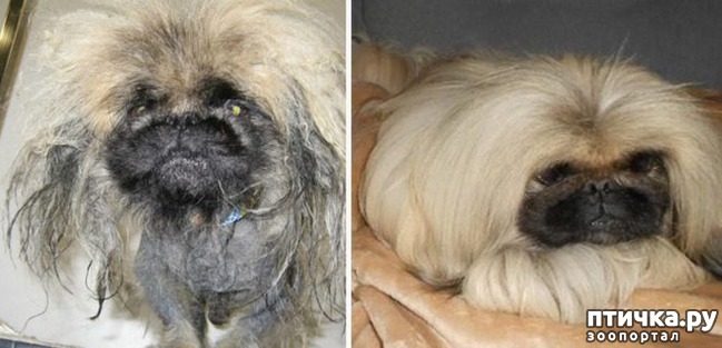 ���� 6: �� ����� � �����.