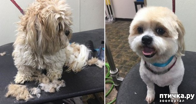 ���� 7: �� ����� � �����.