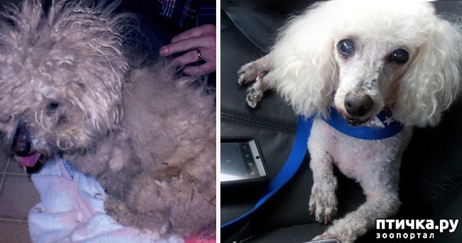 ���� 8: �� ����� � �����.