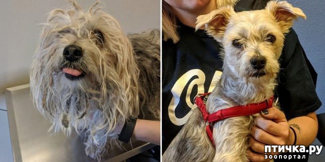 ���� 9: �� ����� � �����.