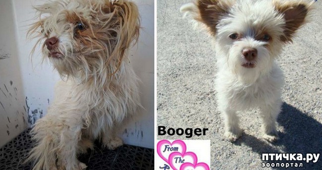 ���� 10: �� ����� � �����.