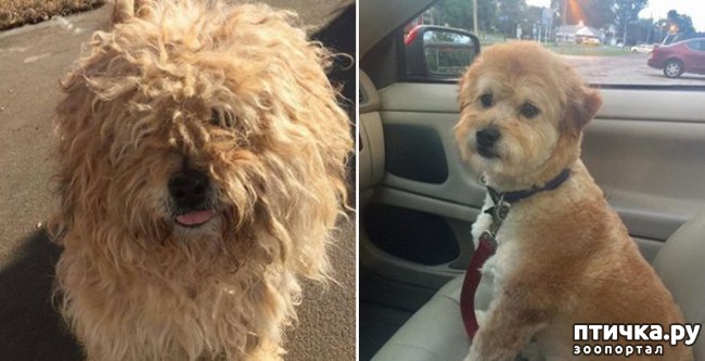 ���� 11: �� ����� � �����.