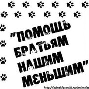 ���� 1: �� ����� � �����.