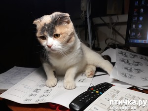 ����: ����� � �� ������ �����