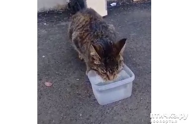 ���� 1: ����� �� ��� ������ �������� � �������������� ����� ��������������� �����������