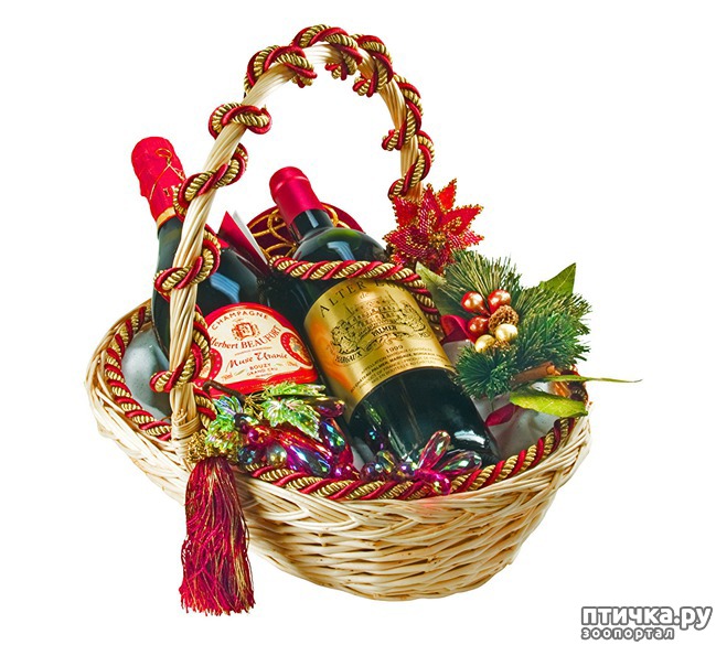 ���� 7: ����, �������, �������!!!