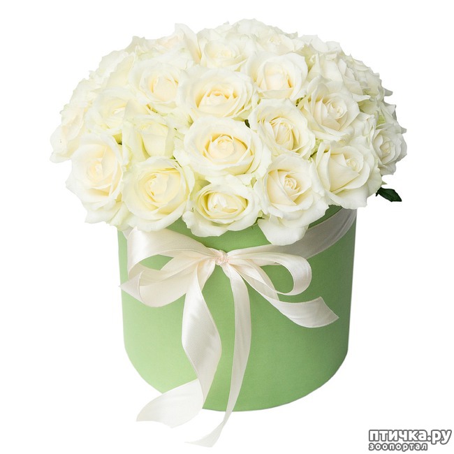 ���� 9: ����, �������, �������!!!