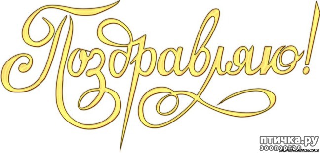 ���� 11: ����, �������, �������!!!