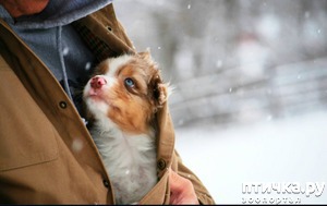 ����: ������, ������� ������ ���� ����� ��������� ����������...