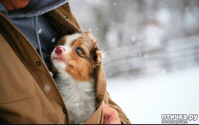 ���� 1: ������, ������� ������ ���� ����� ��������� ����������...