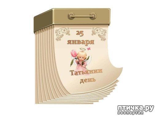 ���� 2: ����, �������, �������!!!