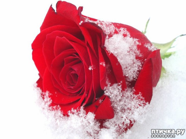 ���� 4: ����, �������, �������!!!