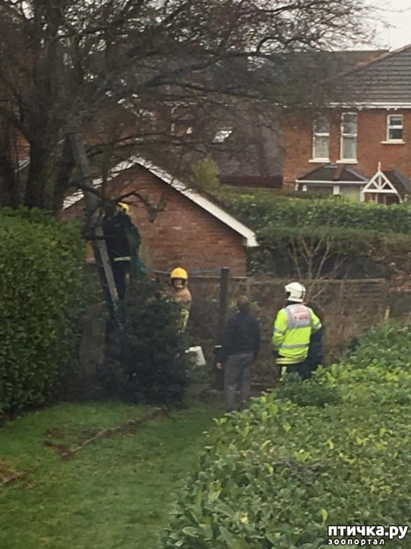 ���� 3: � �������������� ������ ��������� ������������ ��������: �������� ������� � ������ ���� ������ � ��������