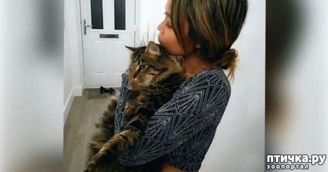 ���� 4: � �������������� ������ ��������� ������������ ��������: �������� ������� � ������ ���� ������ � ��������