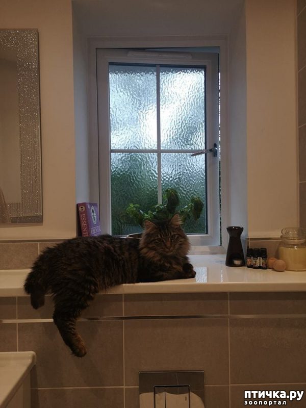 ���� 5: � �������������� ������ ��������� ������������ ��������: �������� ������� � ������ ���� ������ � ��������