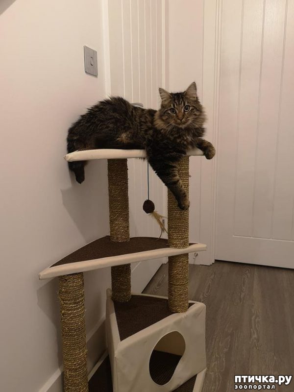 ���� 1: � �������������� ������ ��������� ������������ ��������: �������� ������� � ������ ���� ������ � ��������