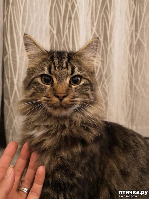 ���� 2: � �������������� ������ ��������� ������������ ��������: �������� ������� � ������ ���� ������ � ��������