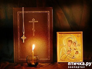 фотография: Животные тоже умеют молиться фото: Животные тоже умеют молиться