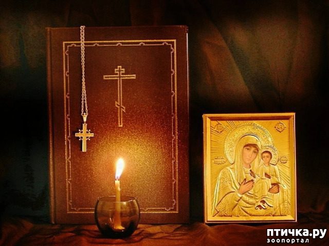 ���� 1: �������� ���� ����� ��������