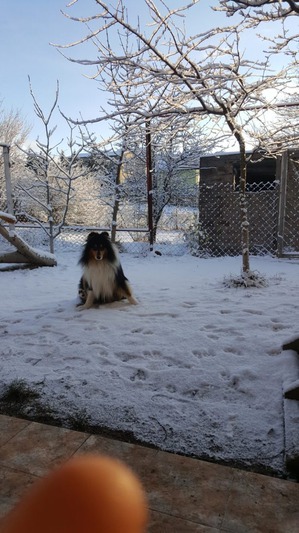 ����: ����� �� ���������